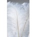 FEATHERS OSTRICH WING  White 14-17" (BULK)-OUT OF STOCK